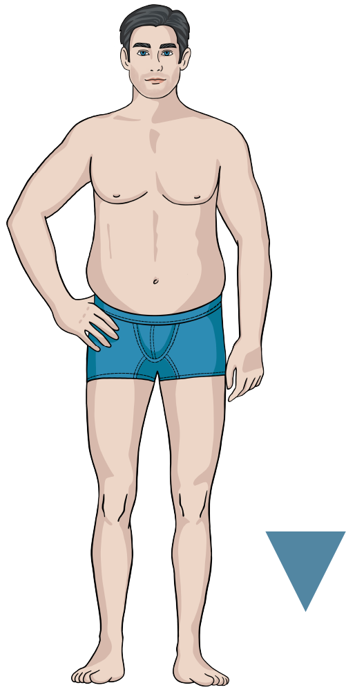 Jeansfinder Body Icon V-Type