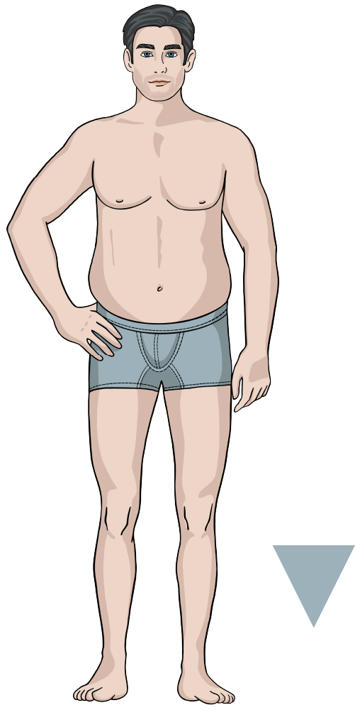 Jeansfinder Body Icon V-Type