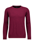 variant-7