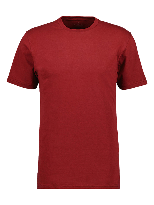 Ragman T-Shirt O-Neck SS Regular Fit Herren T-Shirt